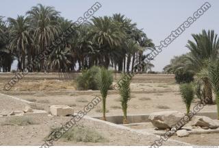 Photo Texture of Landscape Dendera 0191